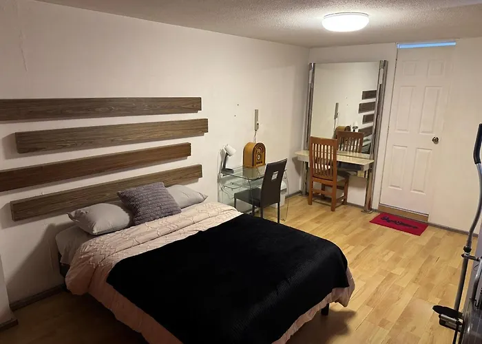 Roma Full One Bedroom Apartment Mexico City